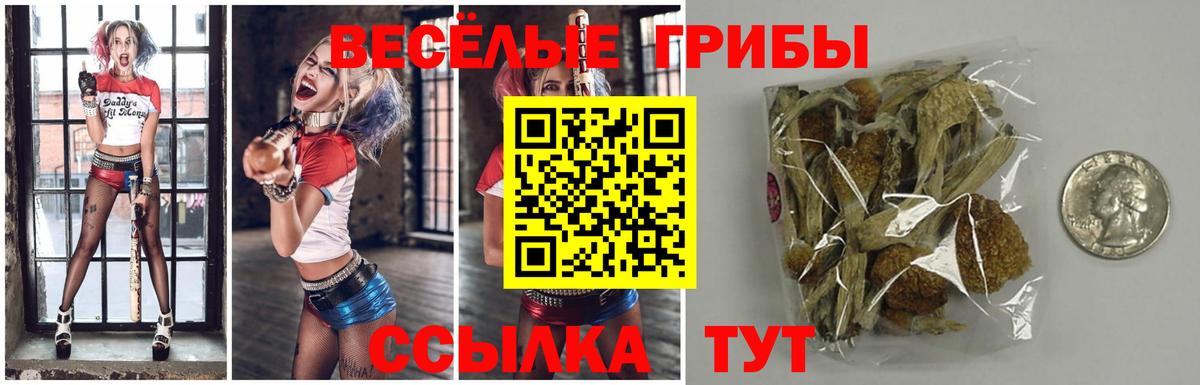 Псилоцибиновые грибы Magic Shrooms  Вход с VPN  Троицк 